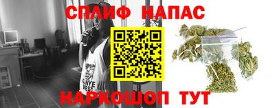 гидра Краснодар