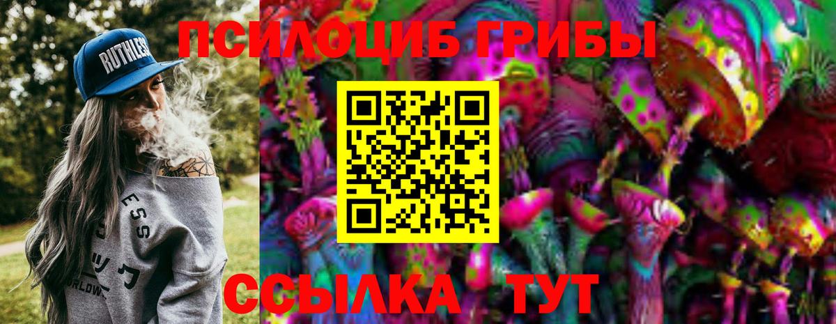 Карталы  Псилоцибиновые грибы Cubensis  Вход с VPN 