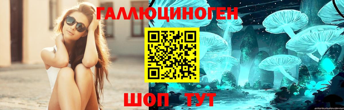 Галлюциногенные грибы Psilocybe Карталы